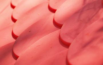 Milkhouse Water plastic roof costs