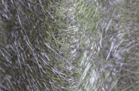 Milkhouse Water fibreglass roof work