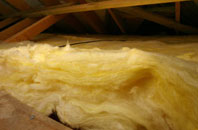 Milkhouse Water pitch roof insulation